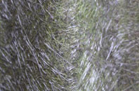 Upper Hartfield fibreglass roof work